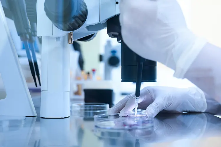 高度な技術とオーダーメイド治療｜銀座の不妊治療｜両角レディース