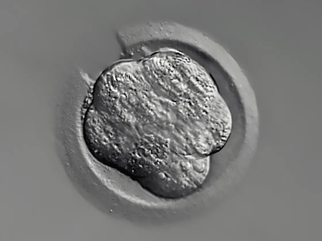 ファミリールーム画像