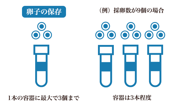 卵子の数と保存容器の数についての図解