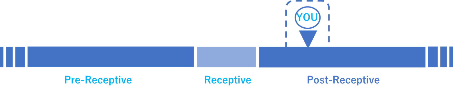 Receptiveの図