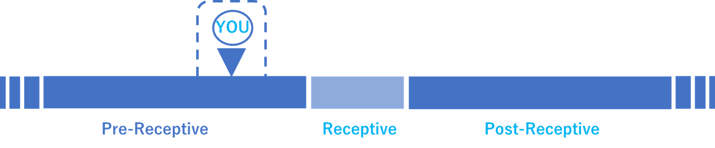 Pre-Receptiveの図