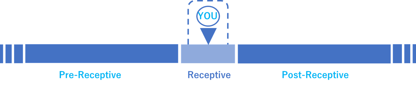 Receptiveの図