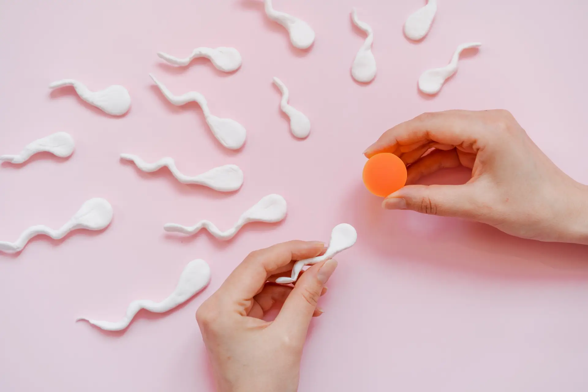 精巣精子（TESE）でも妊娠できる？無精子症治療の受精率と妊娠率を解説