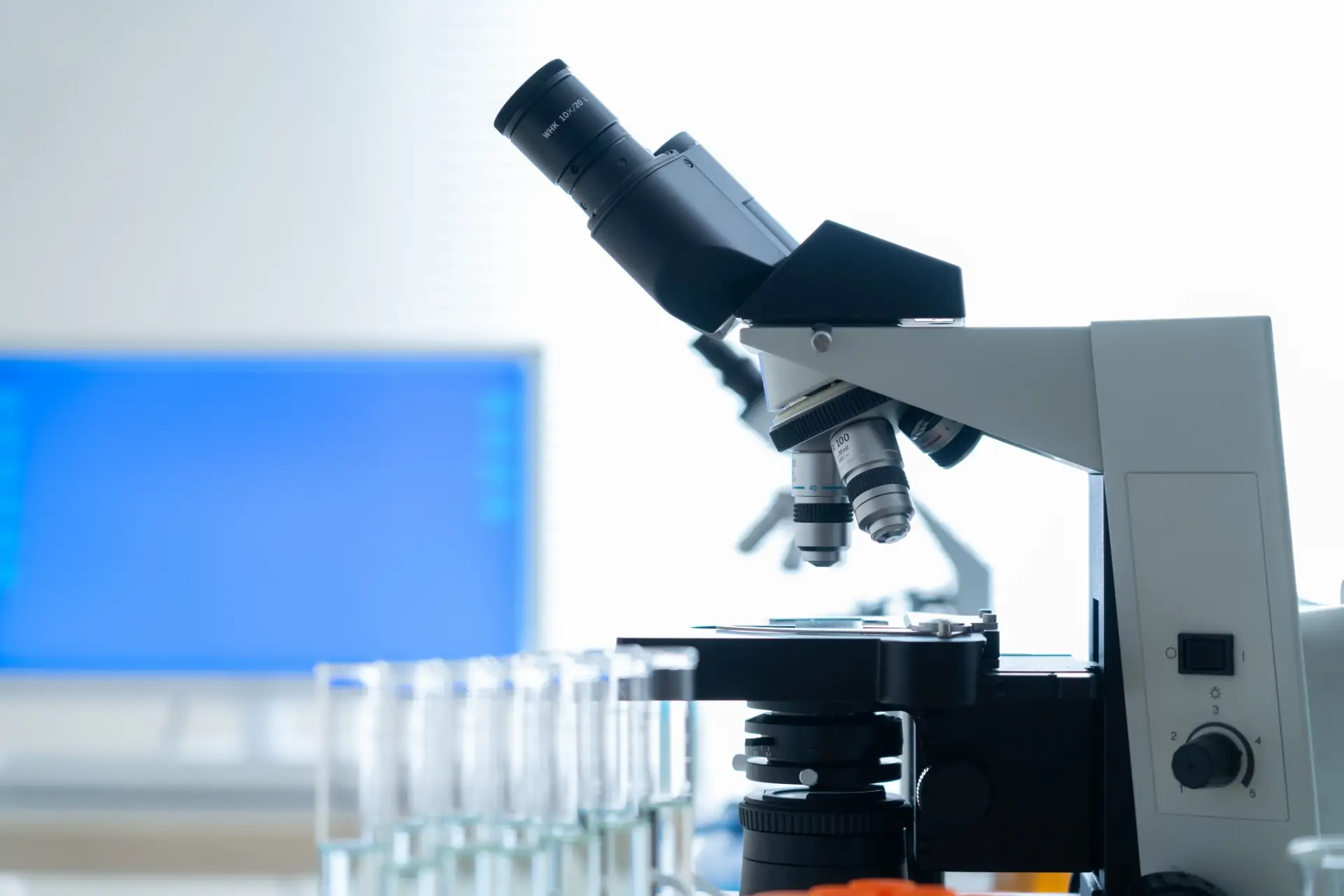 顕微授精は本当に必要？Nature Medicineが証明した体外受精（IVF）本来の力と自然選択の意味