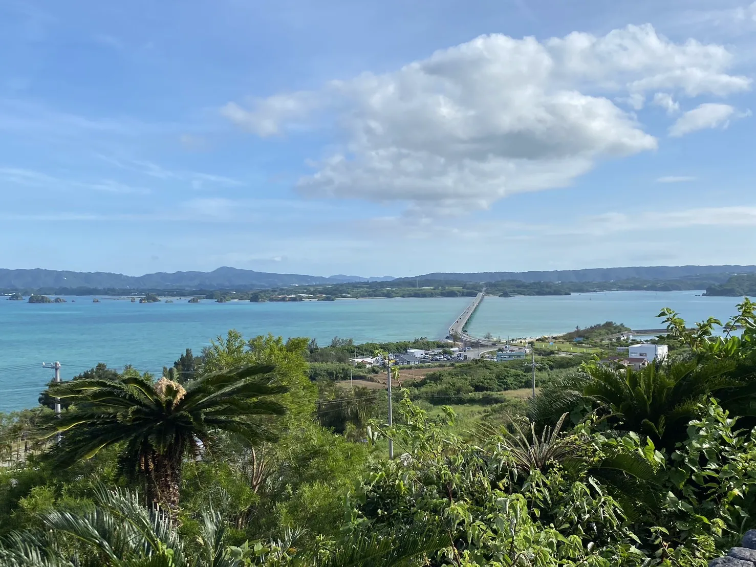 沖縄グルメで夏を乗り切りましょう！
