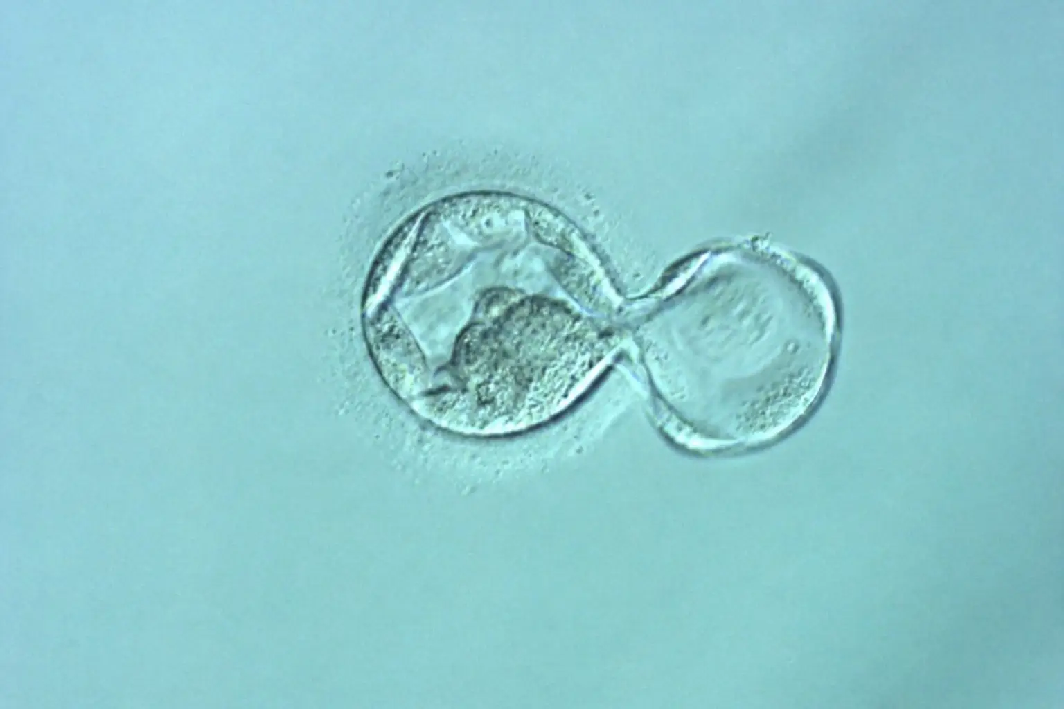 フロアマップ画像