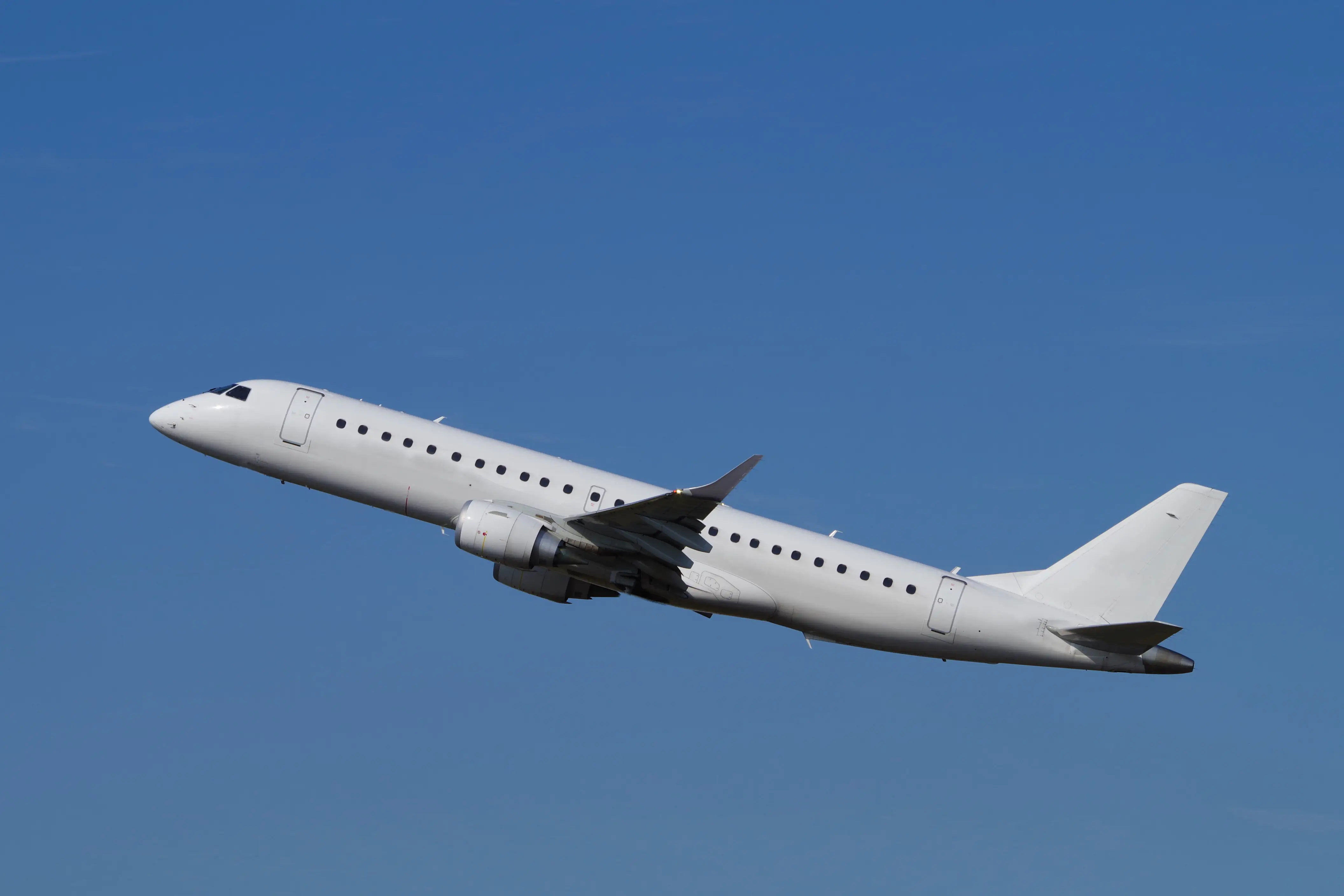 一時帰国での体外受精、採卵と移植は「同時」か「別々」か？最適なスケジュールを徹底解説