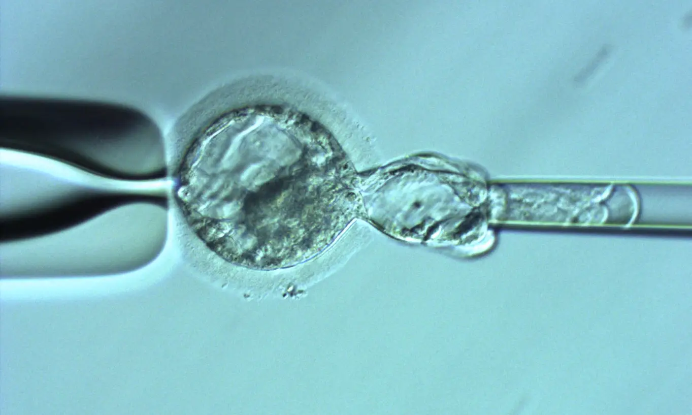 フロアマップ画像